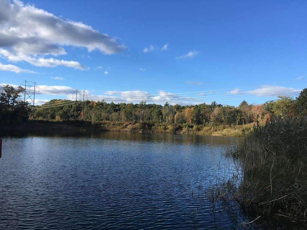 Seabrook Town Forest | Kensington, NH 03833, USA