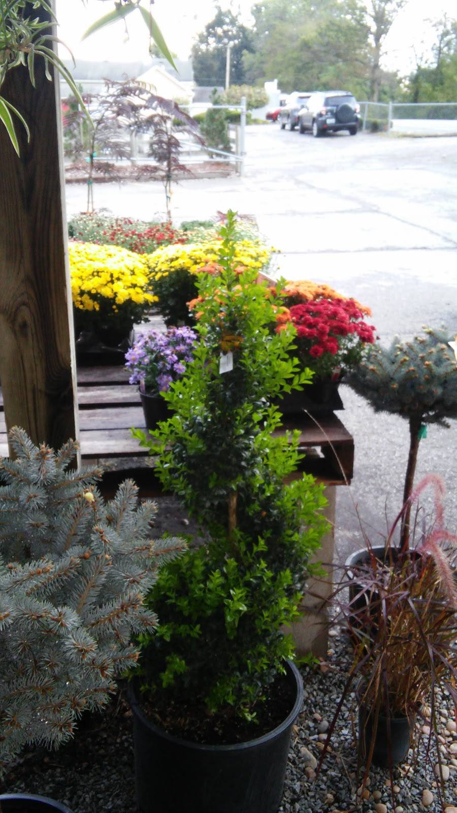 Frank Otte Nursery & Garden | 7505 River Rd, Prospect, KY 40059, USA | Phone: (502) 228-5974