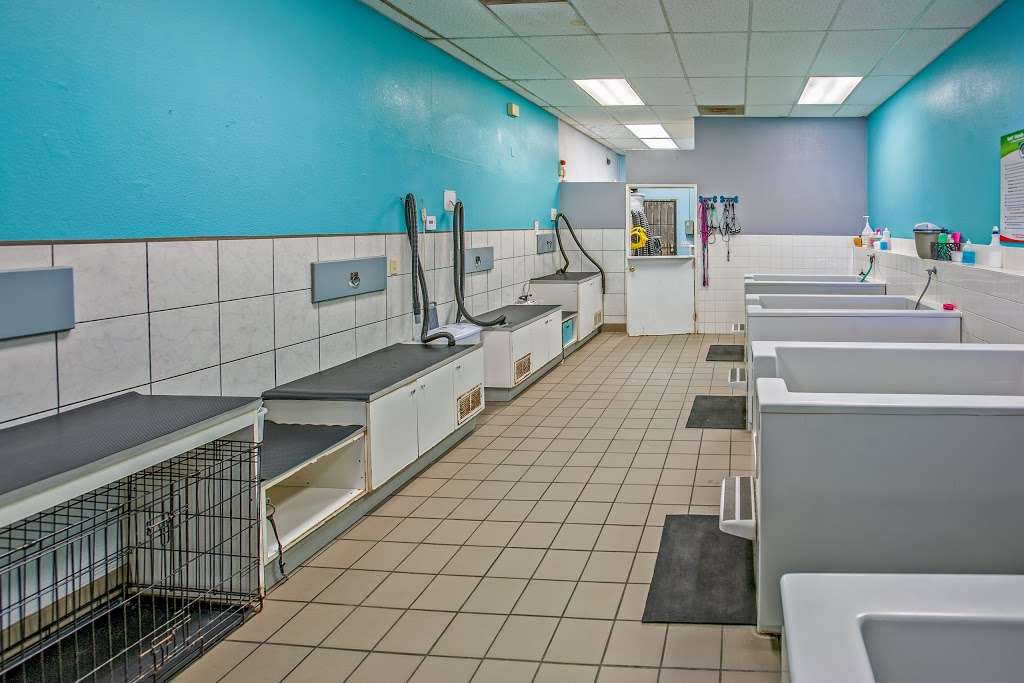 Dirty Paws Pet Wash | 6030 Santo Rd # F, San Diego, CA 92124, USA | Phone: (858) 569-7387