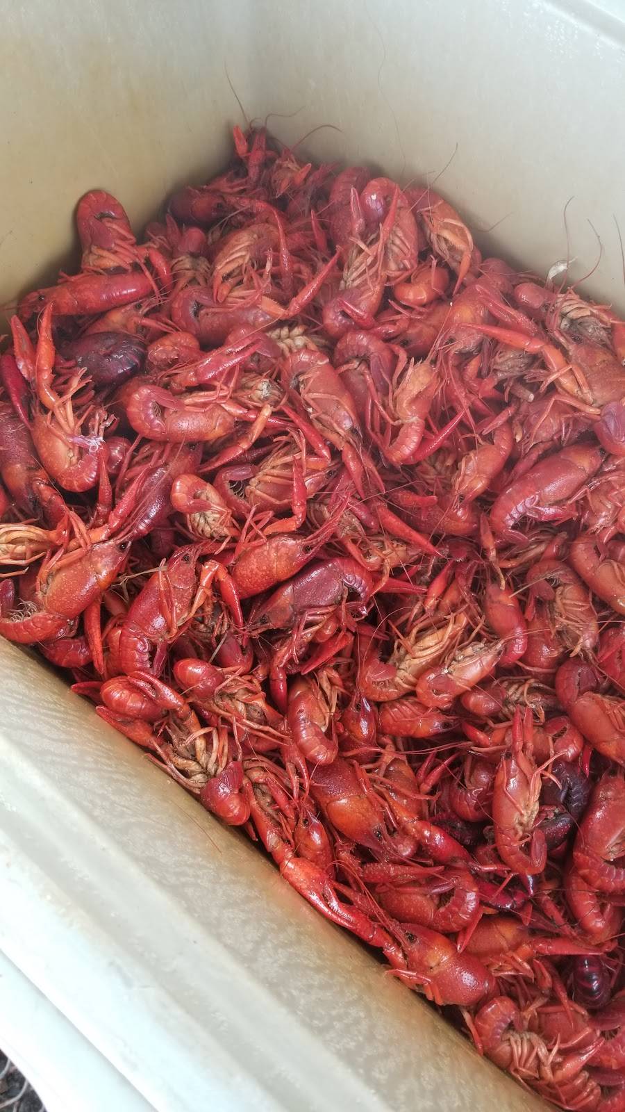 Twisted Tails Crawfish | 100 S Bridgefarmer Rd, McKinney, TX 75069, USA | Phone: (469) 268-9703