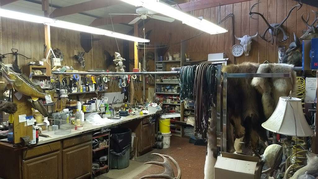 Old World Taxidermy | 724 S Plum Grove Rd, Palatine, IL 60067, USA | Phone: (847) 359-6938