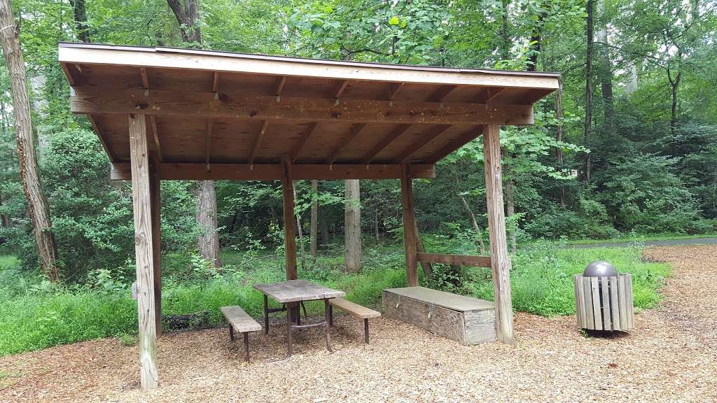 Walker Nature Center Campfire Ring | The Turquoise Trail, Reston, VA 20191, USA