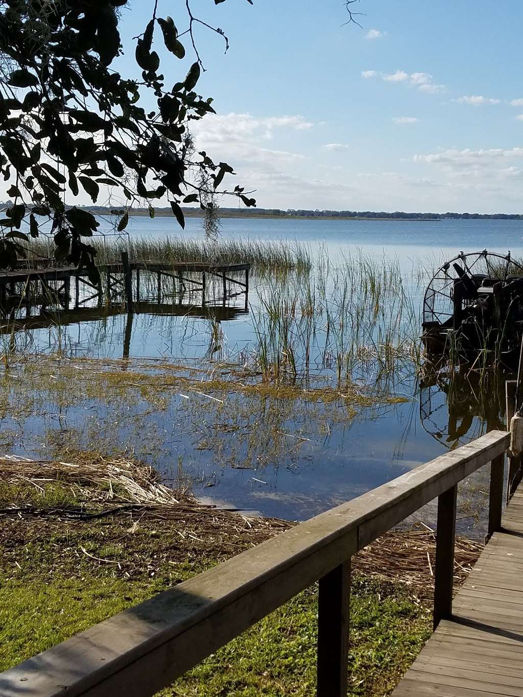 Captain Freds Airboat Nature Tours | Captain Freds Airboat Tours, 4700 Crump Rd Suite C, Winter Haven, FL 33881, USA | Phone: (863) 696-1637