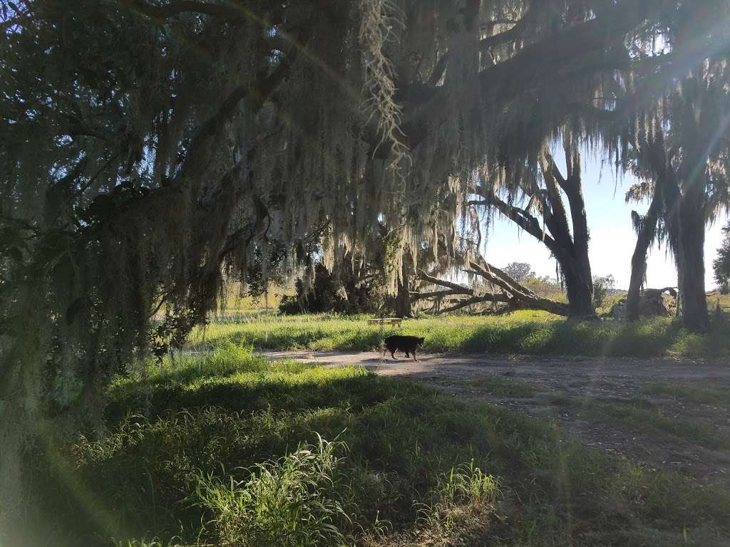 Johns Lake Conservation Area | 880 Avalon Rd, Winter Garden, FL 34787, USA