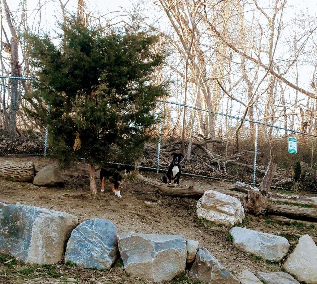 Glen Oaks Village Enchanted Forest Dog Park | Glen Oaks, NY 11004, USA | Phone: (718) 347-2337