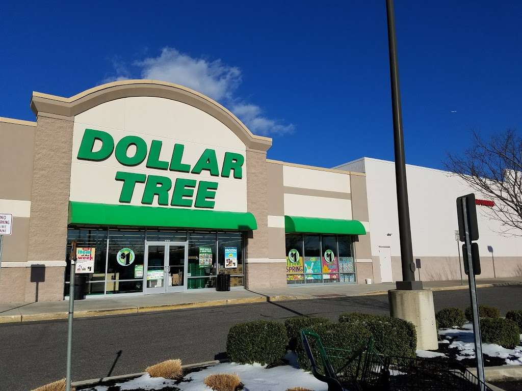 Dollar Tree | 635 Woodbury Glassboro Rd, Sewell, NJ 08080, USA | Phone: (856) 468-0100