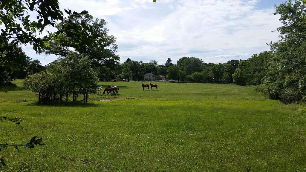 Willow Lake Farm Preserve | W Butler Ave, Ambler, PA 19002, USA