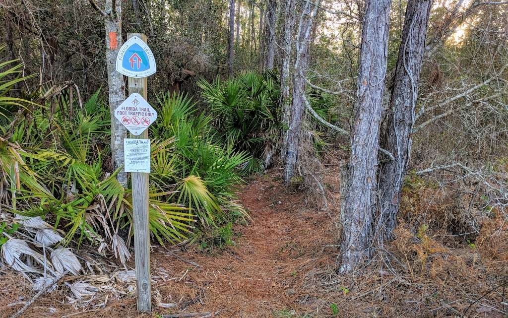 Trailhead for Flagler/Florida Trail | Flagler Trail, Oviedo, FL 32765, USA