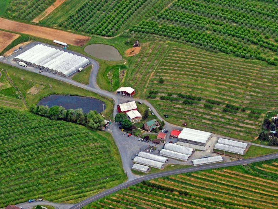 Taylors Greenhouse | 265 Fairgrounds Rd, Biglerville, PA 17307, USA | Phone: (717) 677-7471