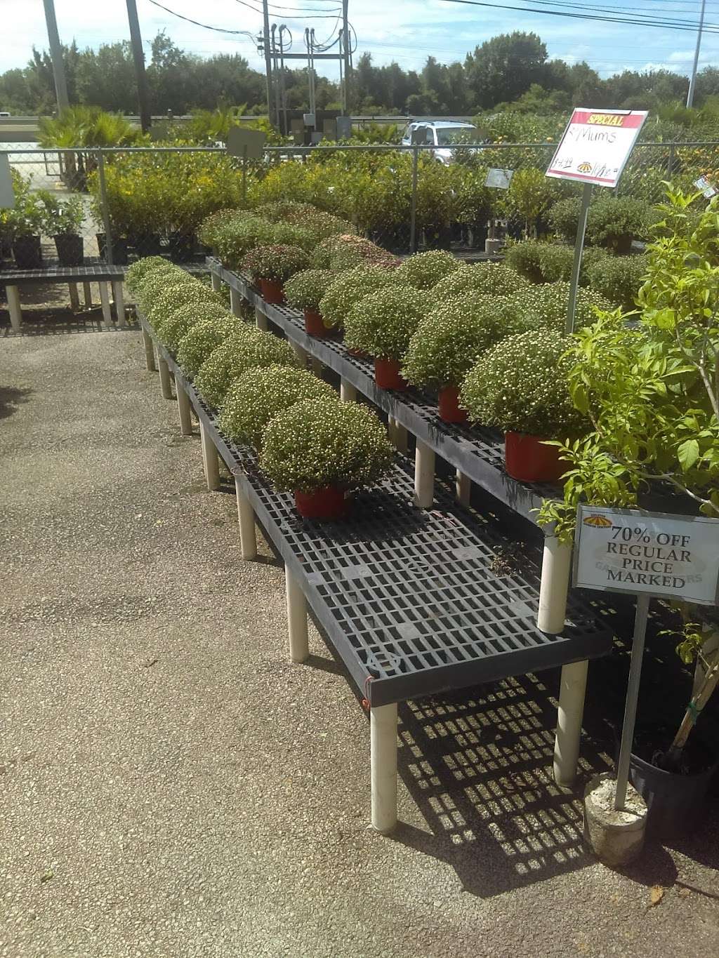 Houston Garden Center | 23260 Northwest Fwy, Cypress, TX 77429, USA | Phone: (281) 373-2239