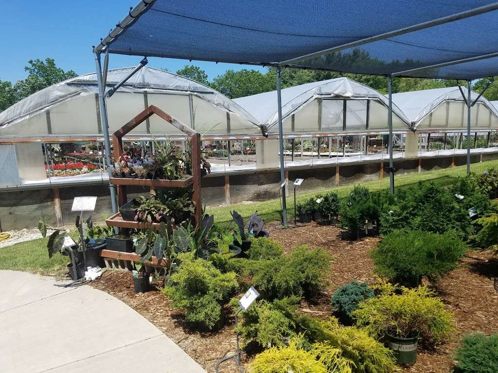 Burlington Garden Center | 5205 Mormon Rd, Burlington, WI 53105, USA | Phone: (262) 763-2153