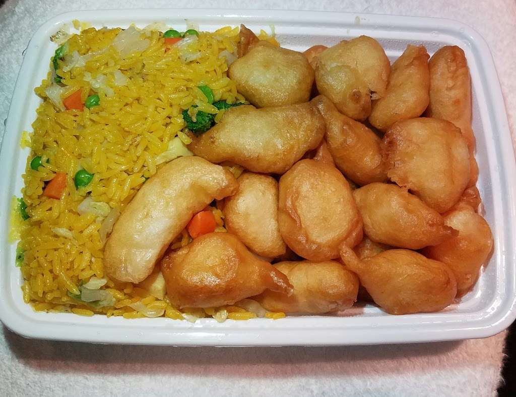 Go Go Chinese Express | 102 Old South Plank Rd, Newburgh, NY 12550, USA | Phone: (845) 569-1188