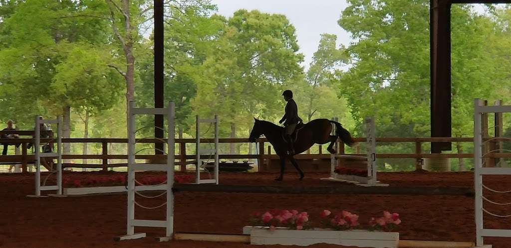 Edgebrook Equestrian | 3501 Jackson Rd, Montgomery, TX 77316, USA | Phone: (281) 814-7279