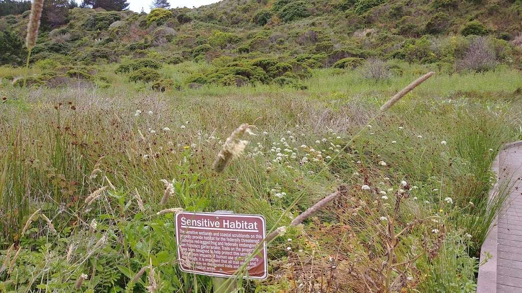 Pillar Point Bluff Parking Lot | Airport St, Moss Beach, CA 94038, USA