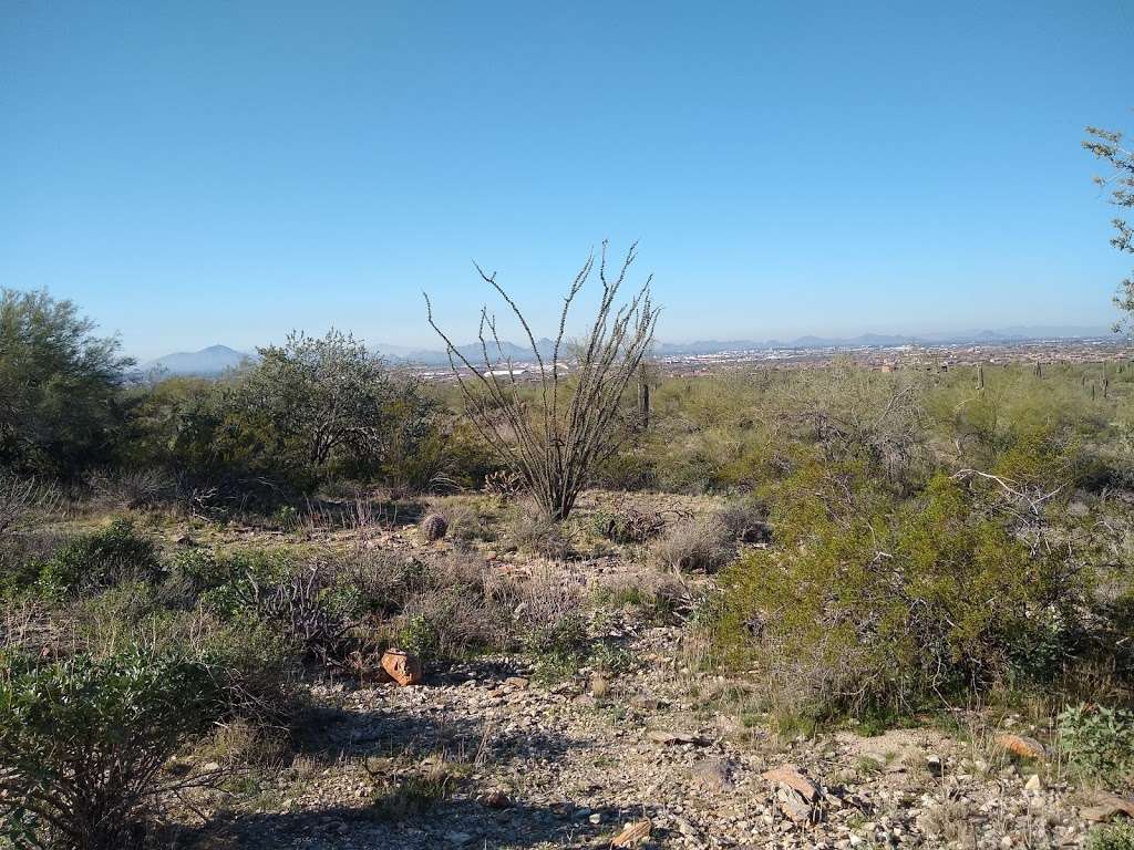 McDowell Sonoran Preserve | Saguaro Loop Trail, Scottsdale, AZ 85255, USA