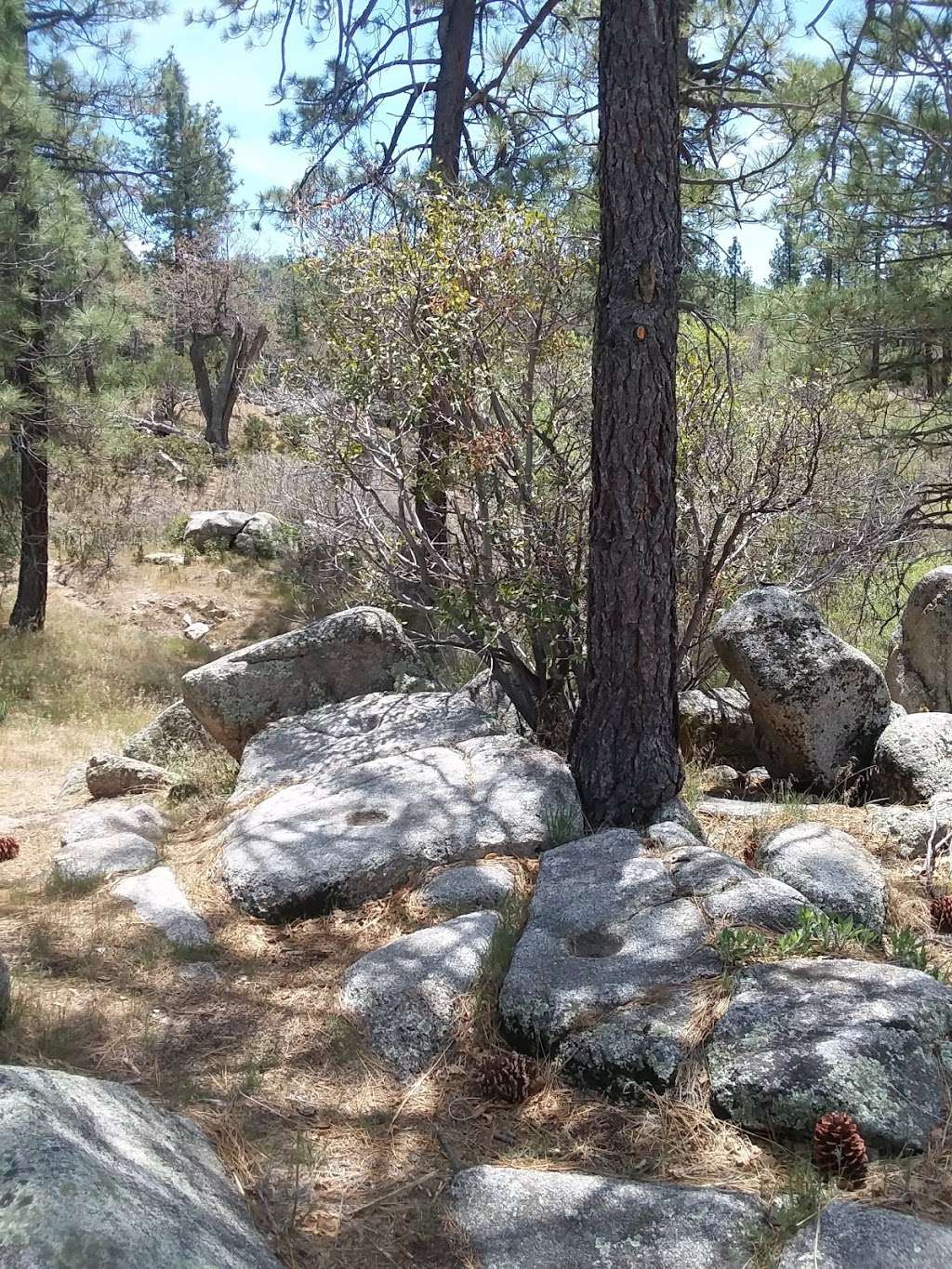 Rock Camp Hike | Metate / Rock Camp Trail 3W15, Lake Arrowhead, CA 92352, USA