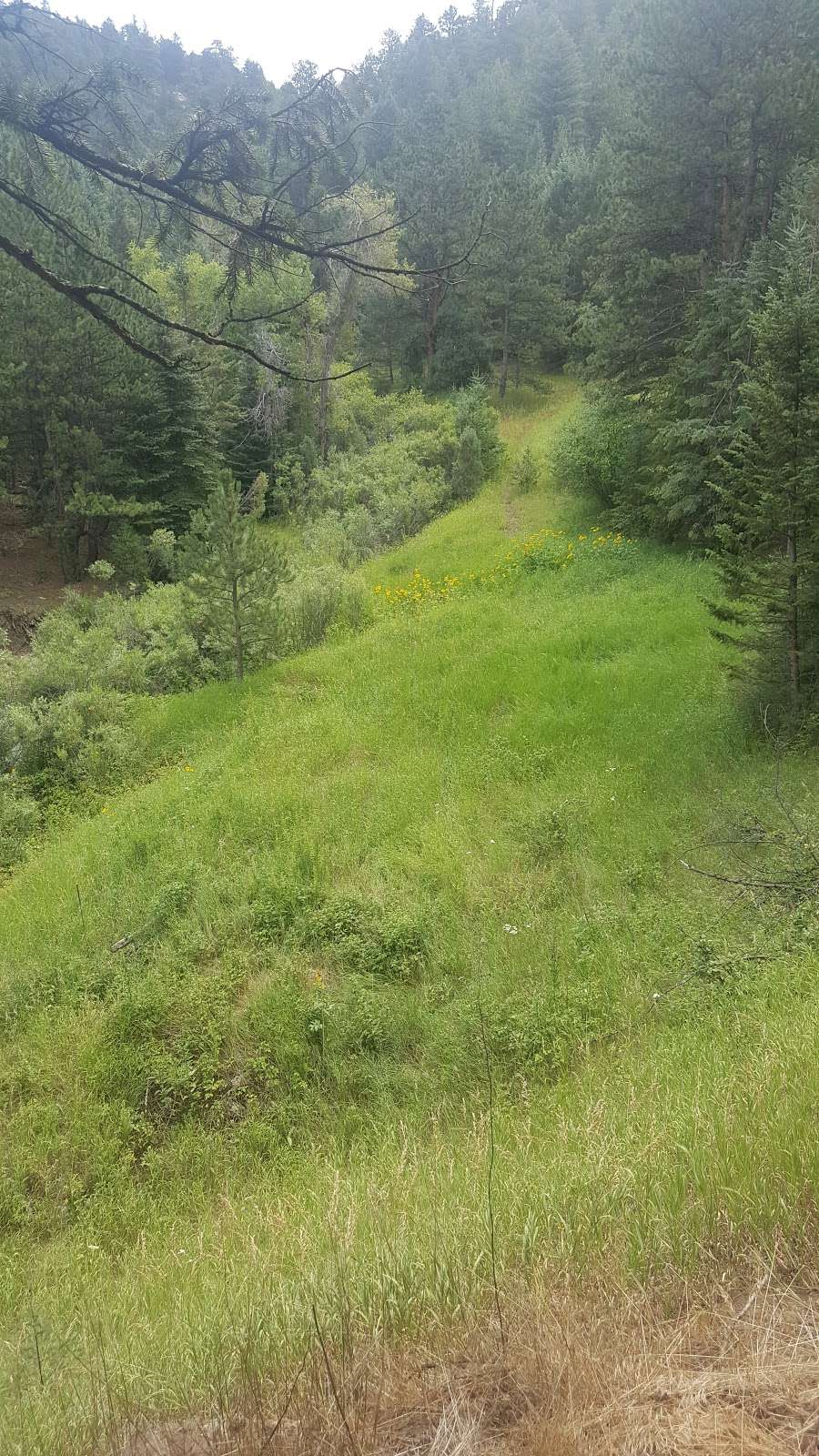 Chavez and Beaver Brook Trail Loop | 27448 Stapleton Dr, Golden, CO 80401, USA
