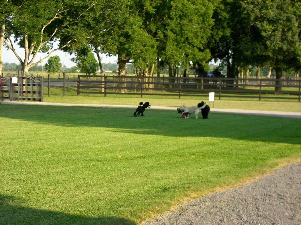 Parkland Kennel | 615 Pitts Rd, Richmond, TX 77406, USA | Phone: (281) 342-0852