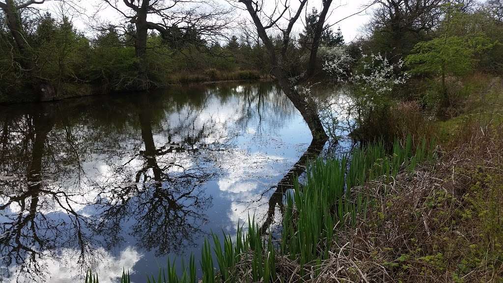 Harlow District Scouts | Risden Park District Scout Camping Site,, Markwell Wood, Harlow CM19 5QZ, UK | Phone: 01279 418181