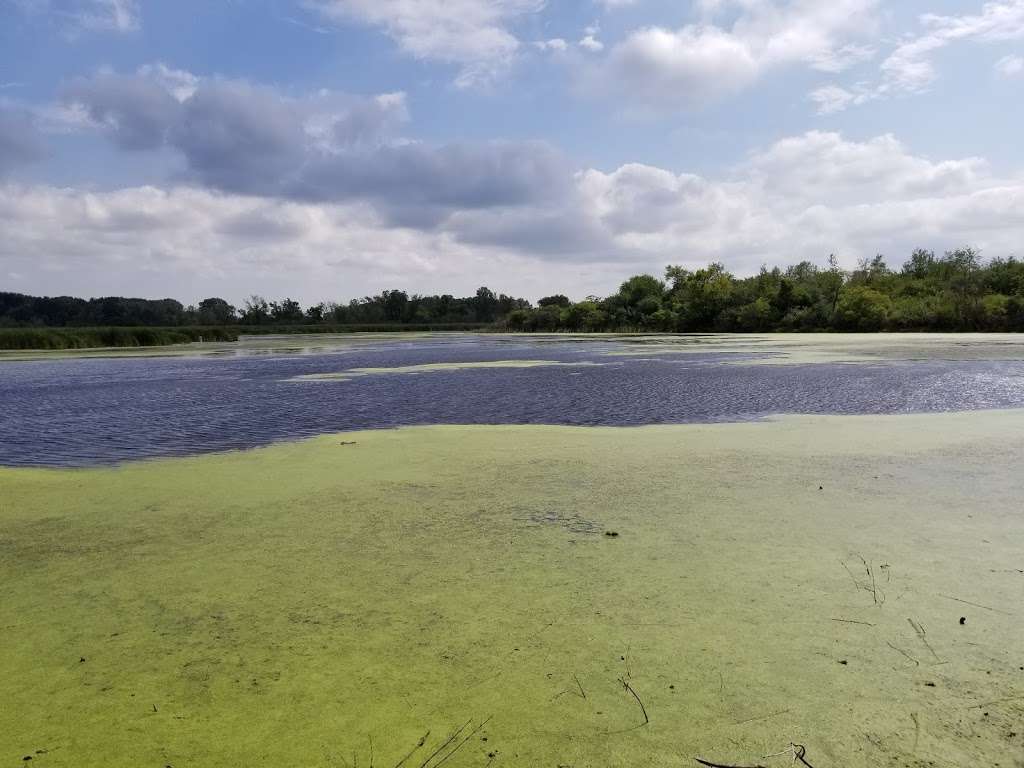 Exner Marsh Conservation Area | 9000 N Lakewood Rd, Lake in the Hills, IL 60156, USA | Phone: (815) 338-6223