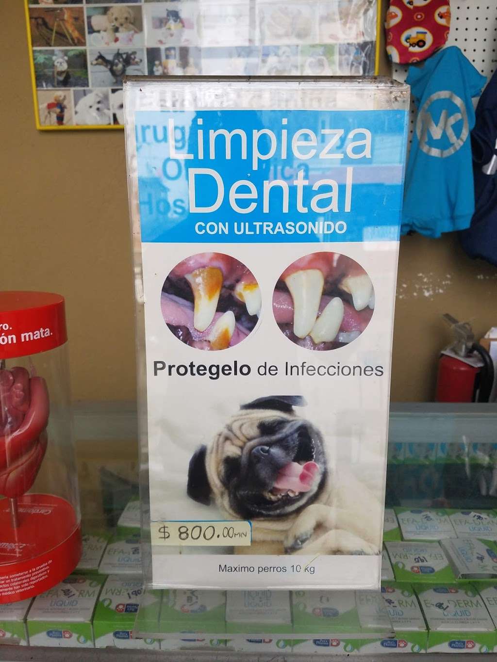 La Vet 24 Hrs | Av. Ignacio Allende 7071, Azcona, Tijuana, B.C., Mexico | Phone: 6387291