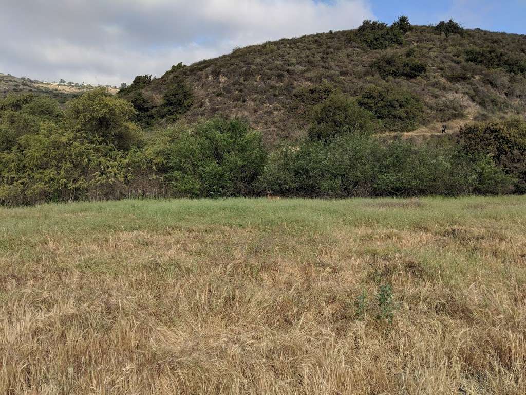 Dripping Cave Trail | Dripping Cave Trail, Aliso Viejo, CA 92656, USA