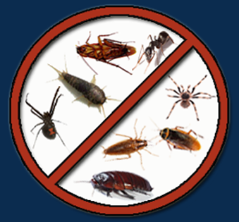 Oviedo Pest Control | 801 Eyrie Dr, Oviedo, FL 32765, USA | Phone: (407) 545-6770