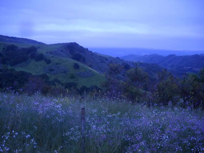 Sespe Condor Sanctuary | Dough Flat, Fillmore, CA 93015, USA | Phone: (805) 646-4348