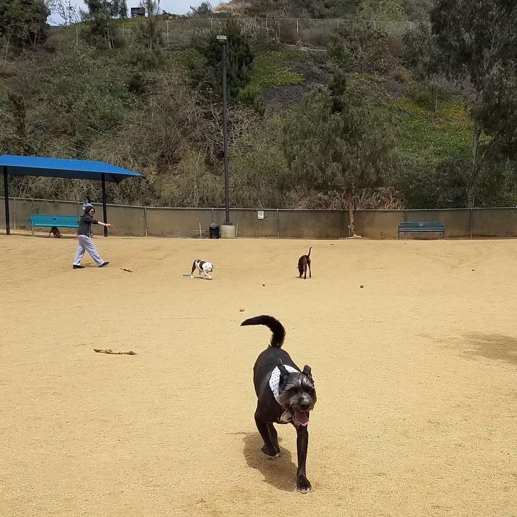 Boneyard Dog Park | Duquesne Ave, Culver City, CA 90230, USA | Phone: (310) 390-9114