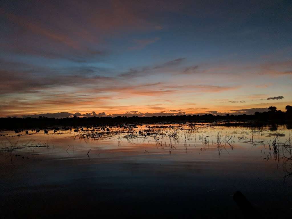 T.M. Goodwin WMA Waterfowl Management Area - StickMarsh. | Florida Bird Viewing Trail, Melbourne, FL 32904, USA