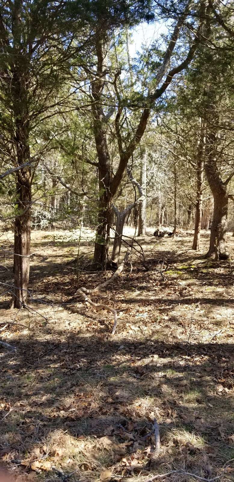 Historic Harrisville Ghost Town Ruins | Chatsworth, NJ 08019, USA