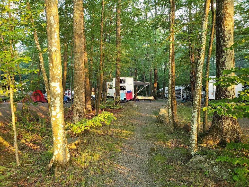 Otter Lake Camp-Resort | 1639 Marshalls Creek Rd, East Stroudsburg, PA 18302, USA | Phone: (570) 223-0123