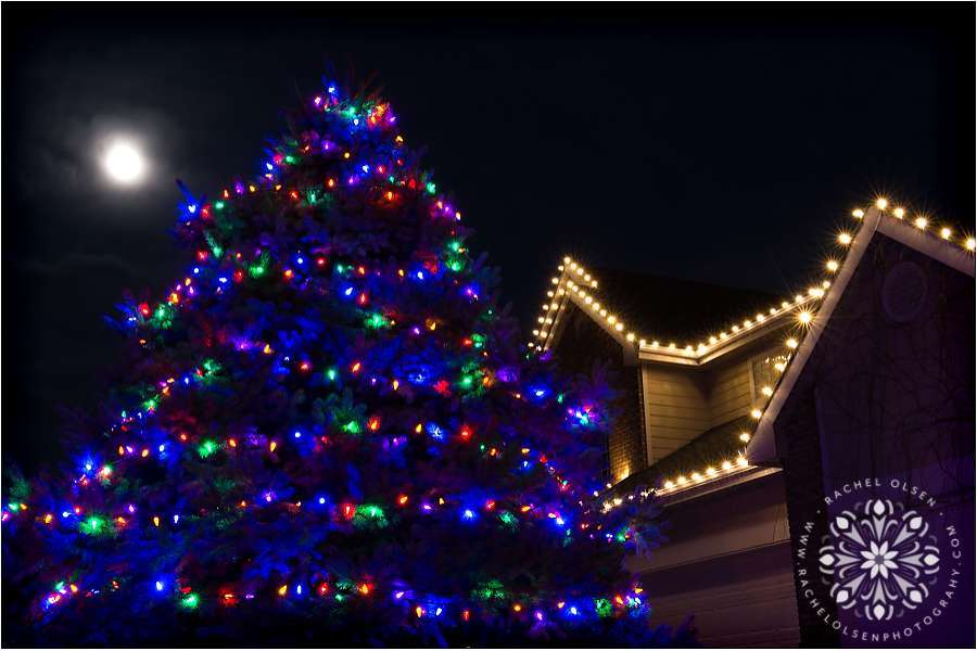 Brilliant Christmas Lights LLC | 6181 Spearmint Ct, Fort Collins, CO 80528, United States | Phone: (970) 818-6400