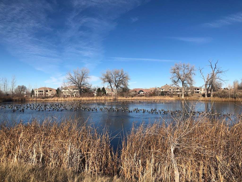 Vogel Pond Open Space | Westminster, CO 80234, USA