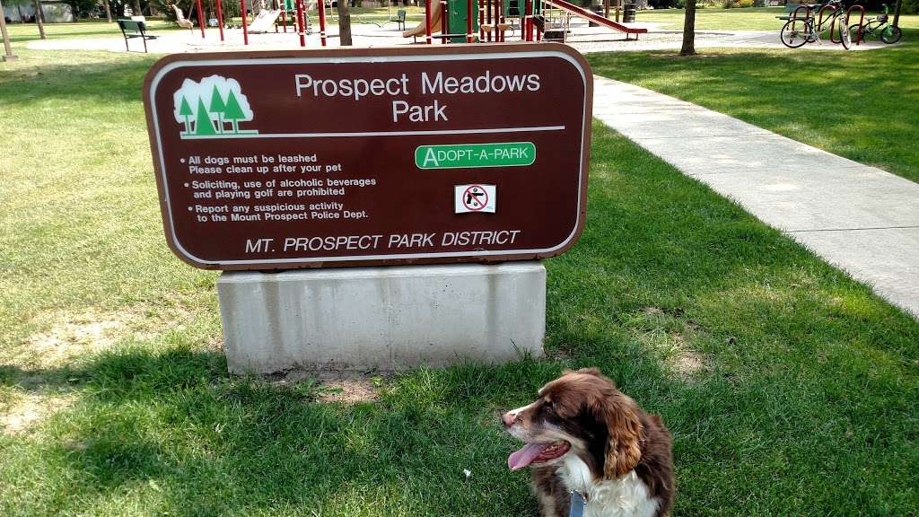 Prospect Meadows Park | Mt Prospect, IL 60056, USA