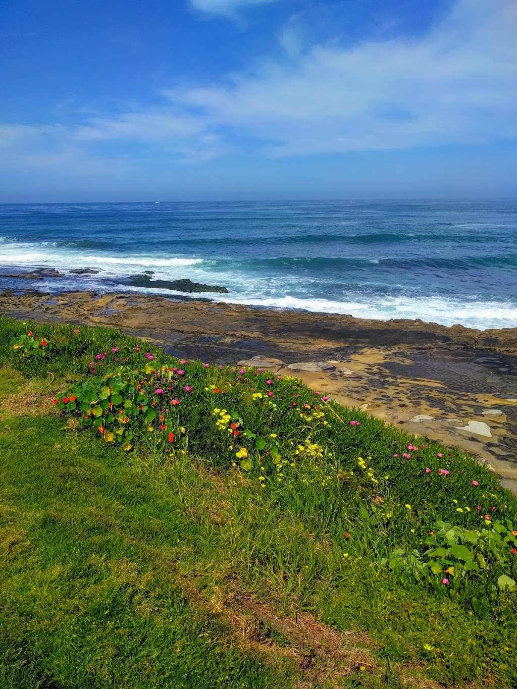 Cuvier Park | 590 Coast Blvd S, La Jolla, CA 92037, USA | Phone: (619) 235-1169