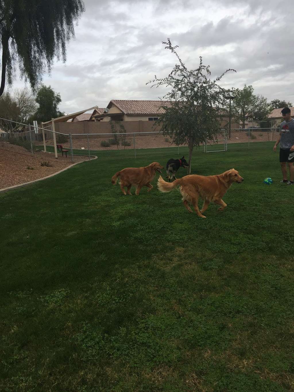 Trailwood Dog Park | 4224-4228 N 112th Ln, Phoenix, AZ 85037, USA