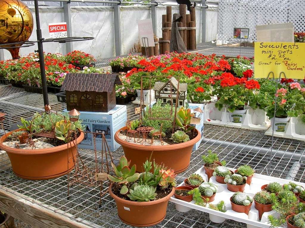 Ginder Greenhouse & Garden Center Inc | 558 Lake Minsi Dr, Bangor, PA 18013, USA | Phone: (610) 588-0222