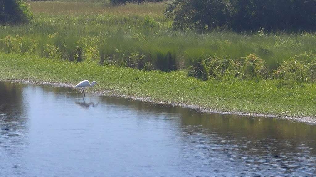 Laffites Cove Nature Society | 3503 Eckert Dr, Galveston, TX 77554, USA | Phone: (281) 255-3055