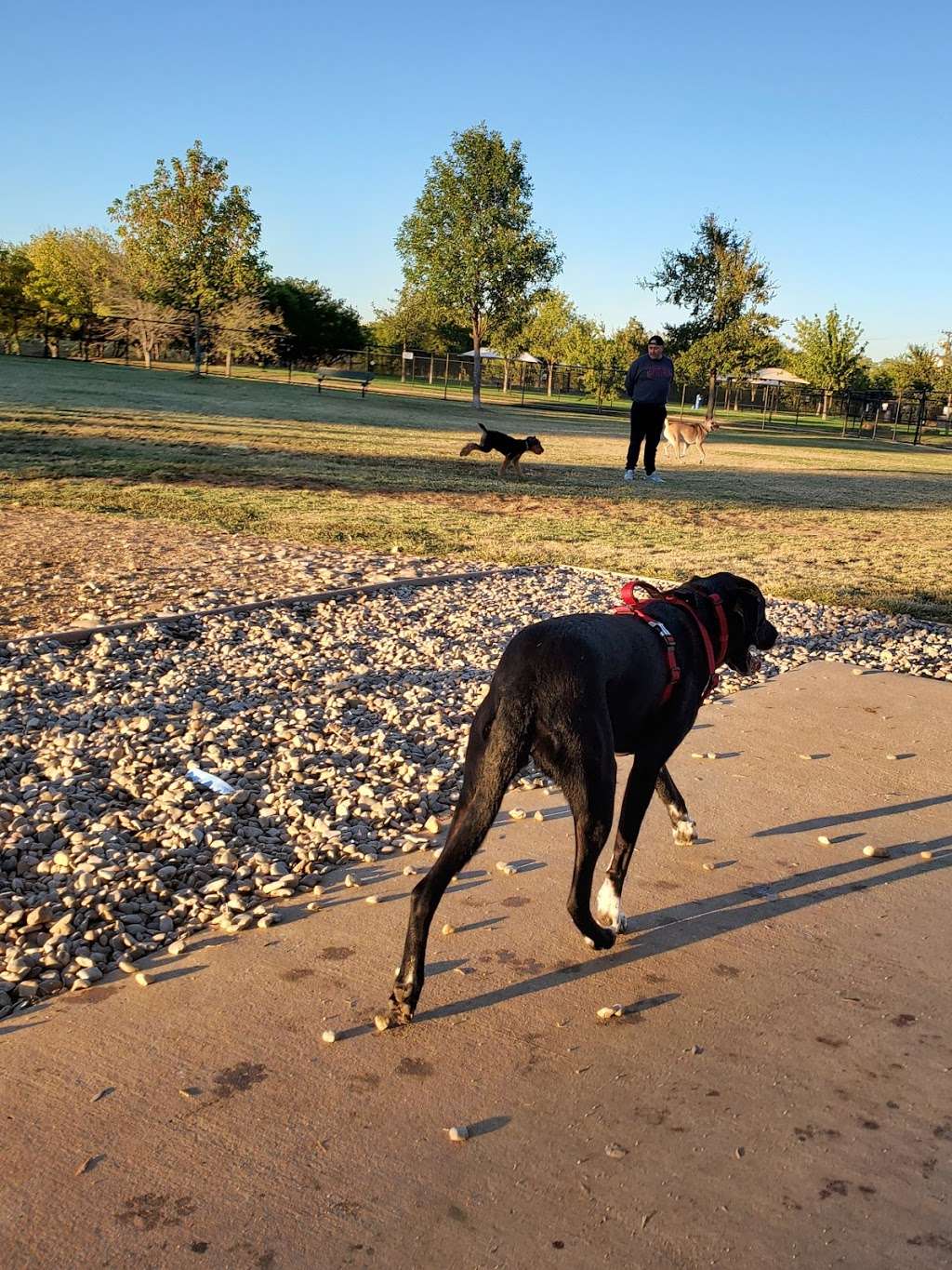 Irving Dog Park | 4140 Valley View Ln, Irving, TX 75038, USA | Phone: (972) 721-2256