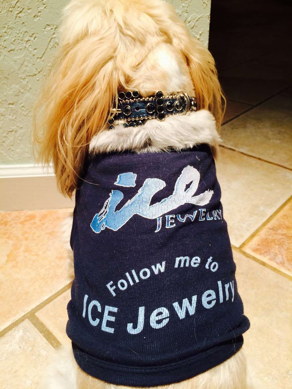 ICE Jewelry | 900 S Ocean Blvd, Boca Raton, FL 33432, USA | Phone: (561) 706-7488