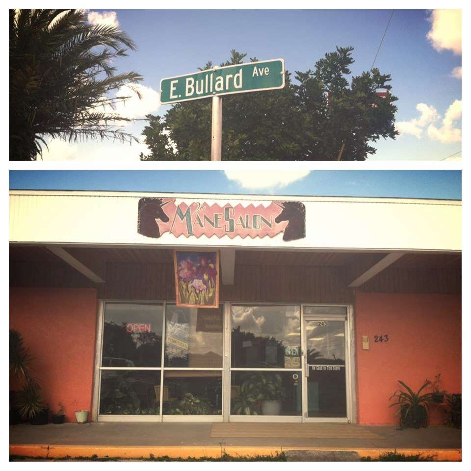 The Mane Salon | 243 E Bullard Ave, Lake Wales, FL 33853, USA | Phone: (863) 676-0744