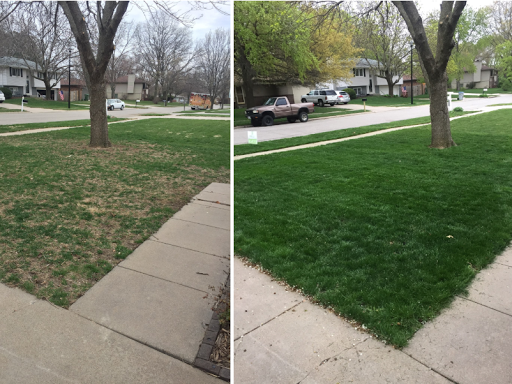 Green Shield Lawn and Pest Management | 4721 S 58th St, Lincoln, NE 68516, USA | Phone: (402) 649-7676