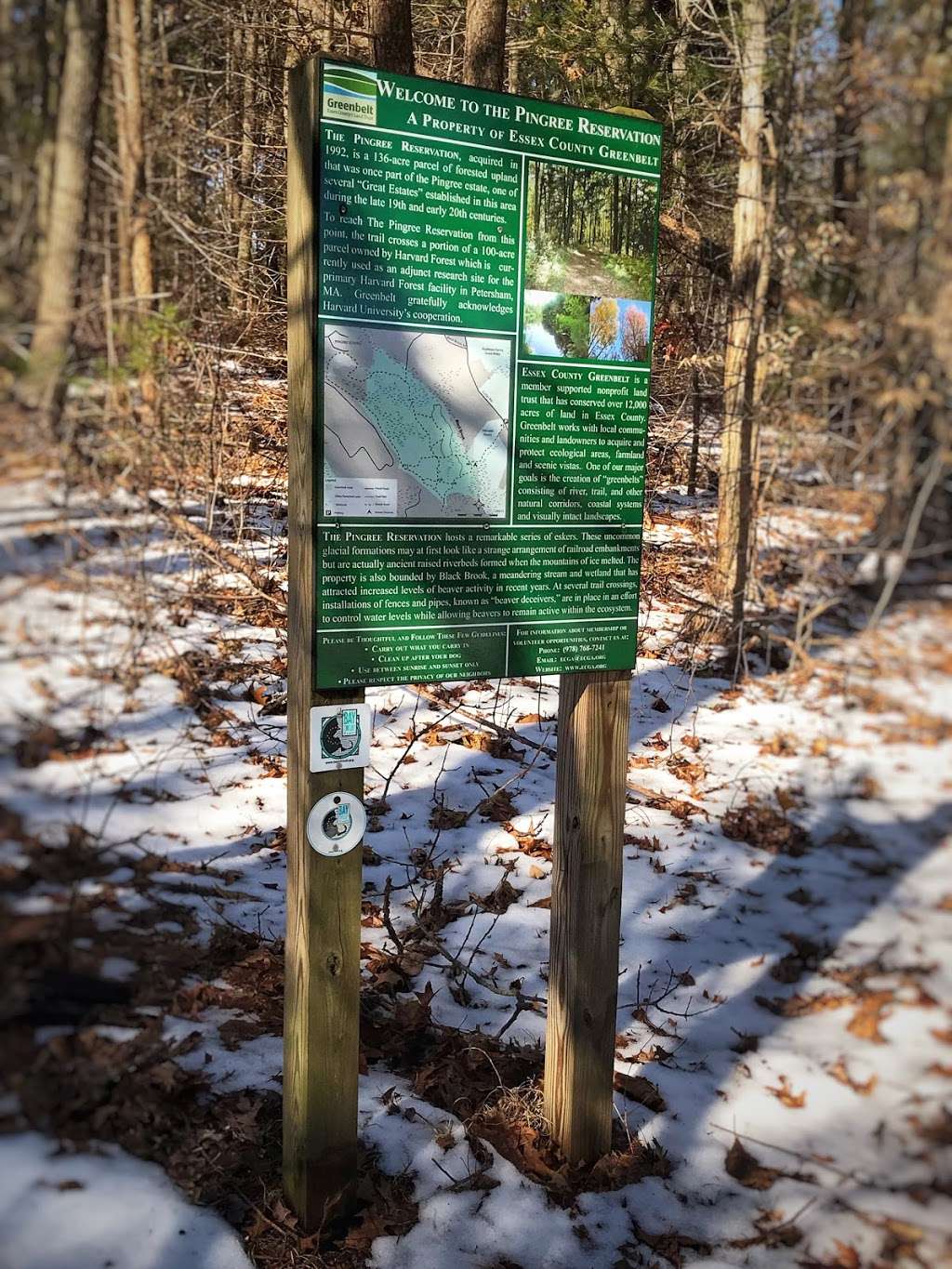 Pingree Woodlot Trail | Cutler Rd, Essex, MA 01929, USA | Phone: (978) 768-7241