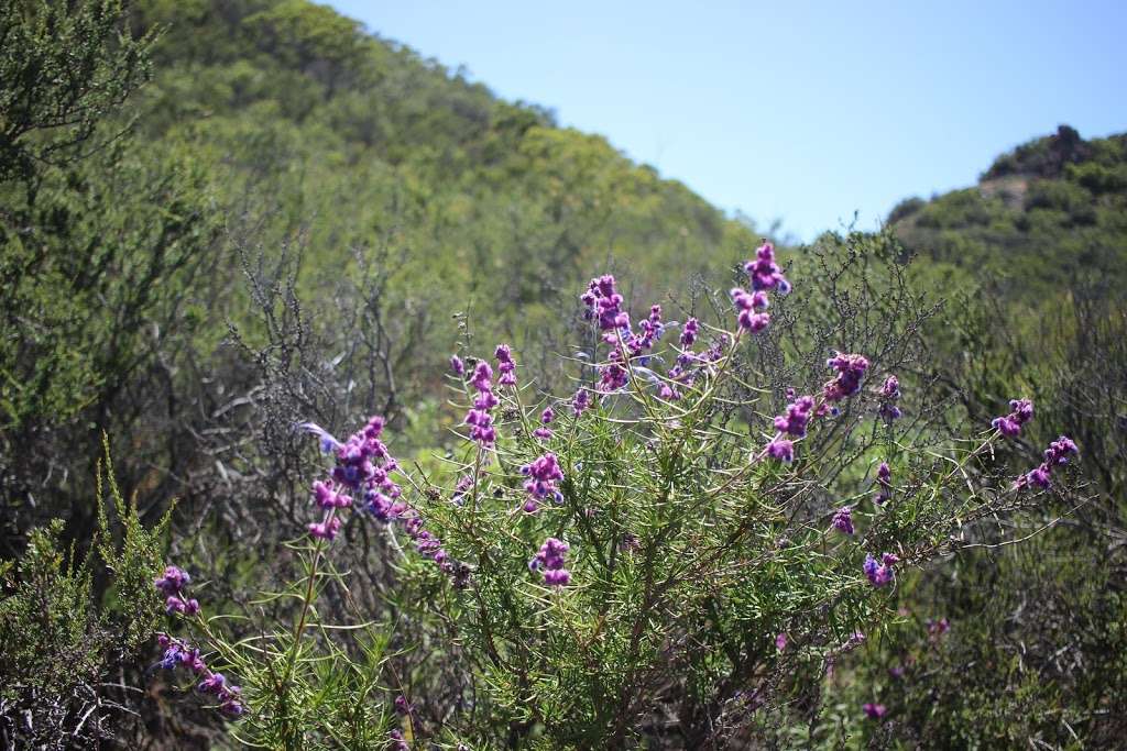 Split Rock | Mishe Mokwa Trail, Westlake Village, CA 91361, USA