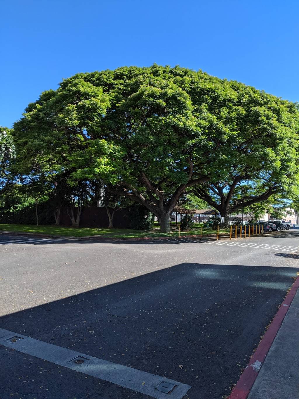 Naval Station Bowling Center | 630 Pierce St, Joint Base Pearl Harbor-Hickam, HI 96860, USA | Phone: (808) 473-2574