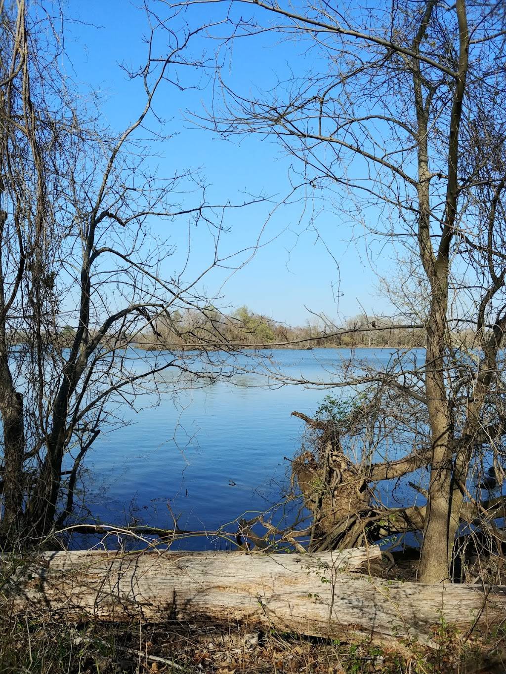 Henricus Historical Park | 251 Henricus Park Rd, Chester, VA 23836, USA | Phone: (804) 748-1611