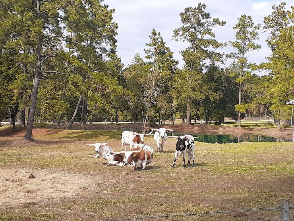 Lone Star Trailhead #4 | FM 149, Montgomery, TX 77356, USA | Phone: (936) 344-6205