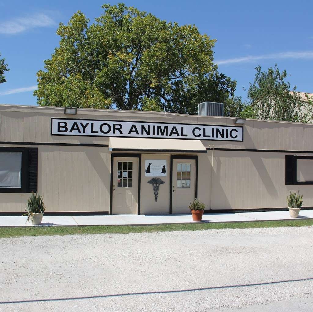 Baylor Animal Clinic | 826 Grand Ave, Bacliff, TX 77518, USA | Phone: (281) 339-3285