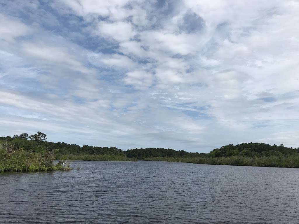 Pine Grove Trail Head | Pine Grove Trail, Milton, DE 19968, USA